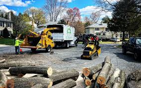 Best Tree Health Inspection  in Sloatsburg, NY