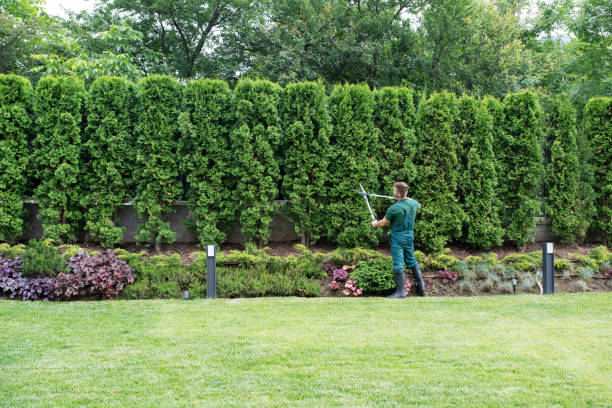 Best Lawn Renovation and Restoration  in Sloatsburg, NY