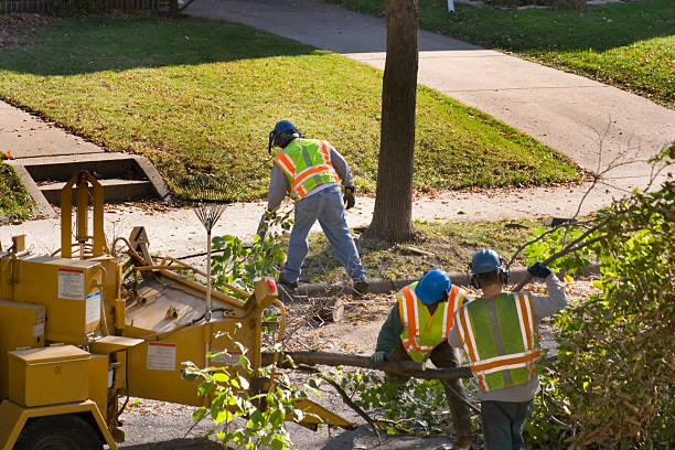 Best Tree and Shrub Care  in Sloatsburg, NY